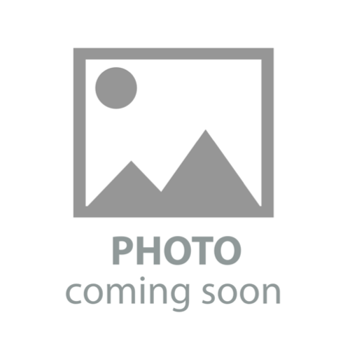 Image of Dr. Denise Burns
