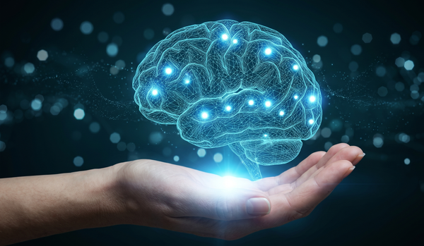 Untwisting a Distorted Brain Using CSF to Nurture Traumatic Brain Injury- Workshop
