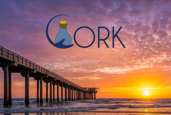 NYITCOM Students and Faculty Earn Top Honors and Showcase Research at CORK 2026